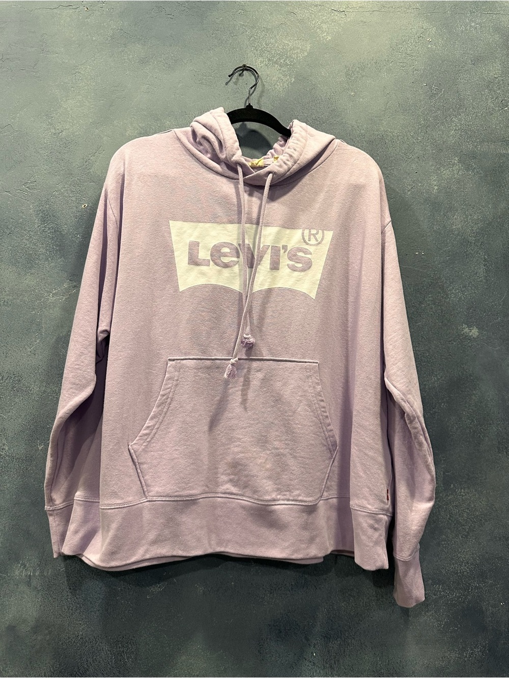 Levi's Men's Light Lavender Logo Hoodie Sweatshirt